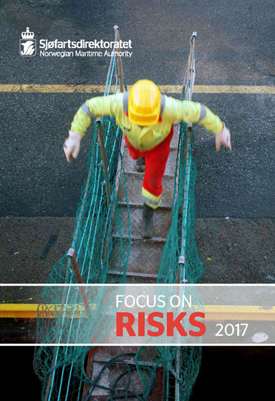 Front cover Focus on risks 2017