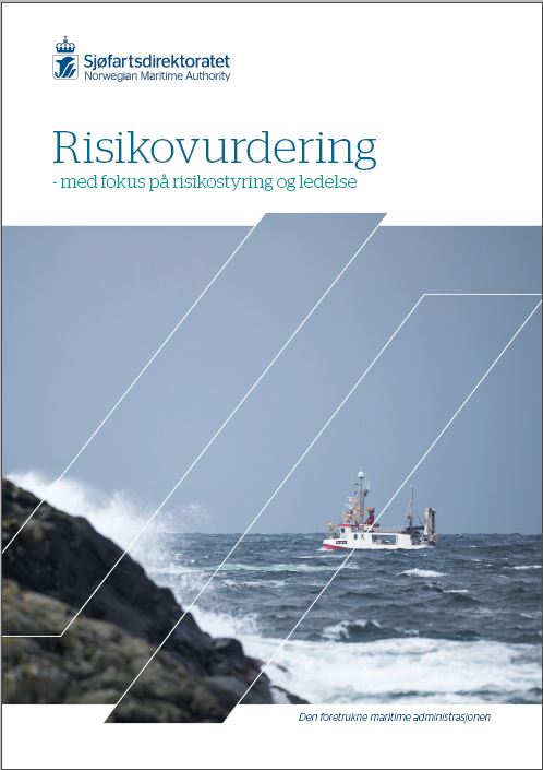 Risikovurdering med fokus på risikostyring og ledelse
