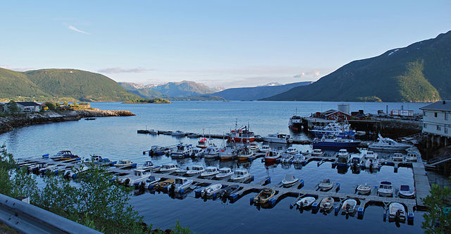 De fleste ulykkene har skjedd med fritidsbåter liggende i båthavner. Foto:Helge Høifødt